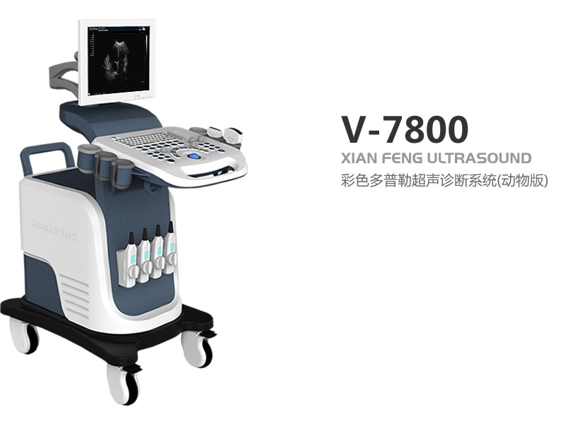 彩色多普勒動(dòng)物超聲診斷儀